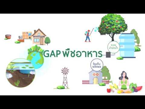 การปฏิบัติทางการเกษตรที่ดีสำหรับพืชอาหาร (GAP พืชอาหาร)